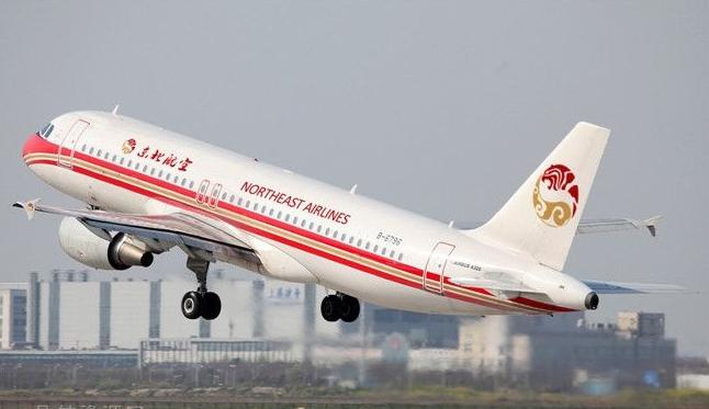 东北航空飞机涂装设计方案出炉 哪款是你的菜？